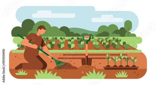Man working in a farm field planting seedlings.