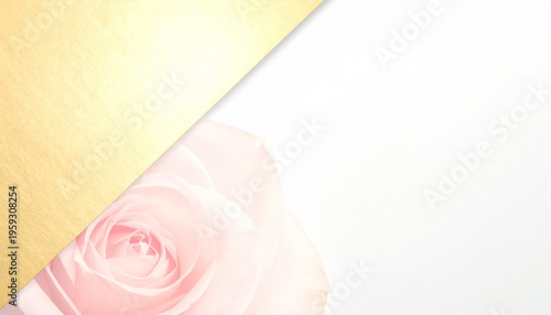 pink rose with blank card