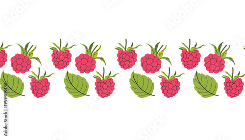 Raspberry vector illustration of a border with green leaves and ripe fruit