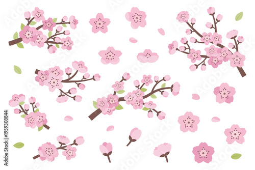 Set of sakura flowers, petals, and branches in soft pink tones. Perfect for spring artwork, invitations, packaging, social media, and decorative templates.