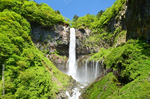 緑につつまれる奥日光 華厳の滝