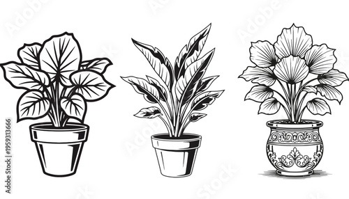 A set of plant illustrations in decorative pots and planters
