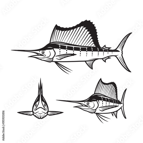 Sailfish Three View Bold Line Art Vector Illustration Set