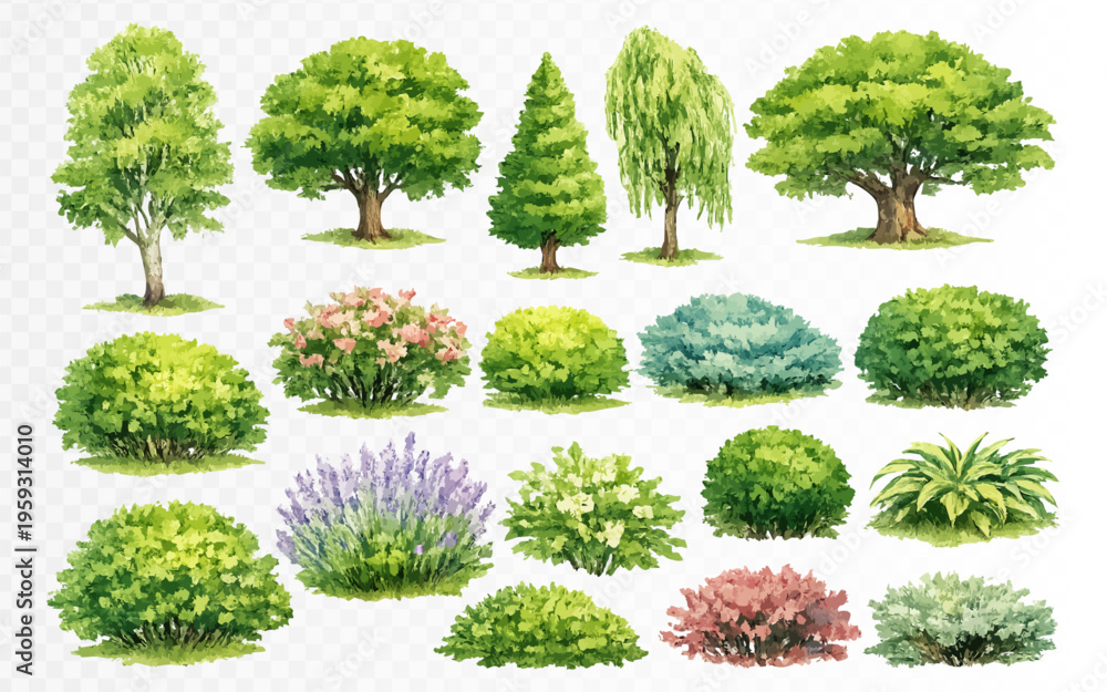 Fototapeta premium Watercolor landscape set with ornamental trees, blooming shrubs and green bushes, detailed botanical clipart collection for garden plans, park layouts and nature illustrations. Vector illustration
