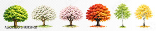 Watercolor seasonal tree set with spring, summer, autumn and light green foliage, decorative botanical clipart collection for landscape design, park scenes and nature themes. Vector illustration
