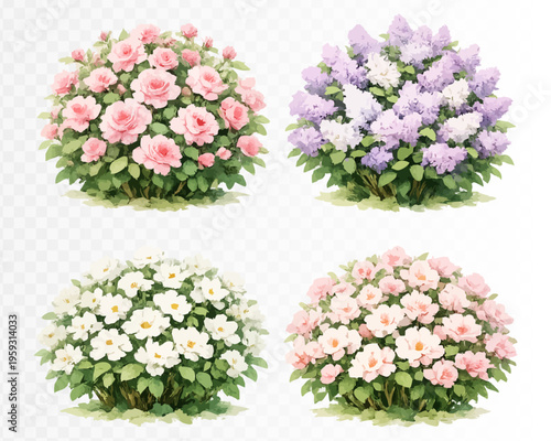 Flowering bush collection with pink, lilac and white blossoms in soft watercolor garden style, realistic botanical clipart set for spring landscapes, borders, parks and floral design. Vector