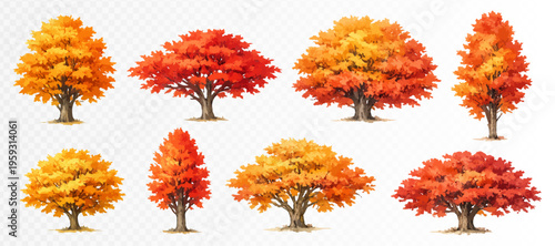 Autumn tree collection in warm orange and red seasonal watercolor tones, decorative landscape clipart set for fall design, park scenes, harvest graphics and nature themed projects. Vector