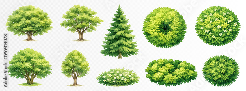 Compact set of ornamental trees and shrubs in vivid green watercolor landscape style, practical botanical clipart collection for park maps, garden plans, outdoor layouts and nature design. Vector