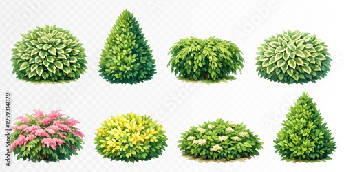Decorative flowering shrubs and evergreen bushes in soft realistic watercolor garden style, versatile botanical clipart set for landscaping plans, borders, parks and outdoor scenes. Vector