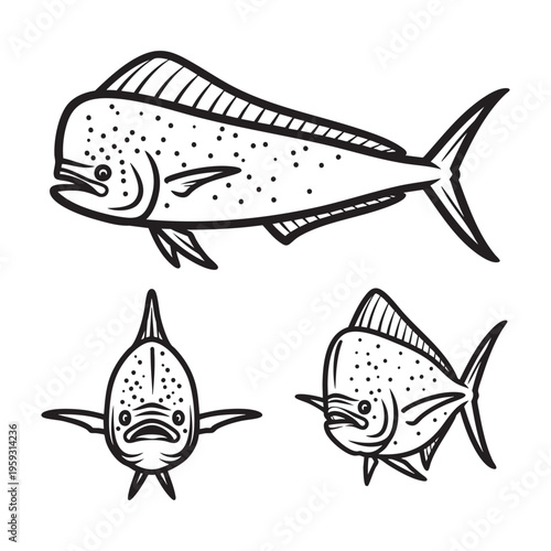 Mahi-Mahi Dolphinfish Three View Bold Line Art Vector Set