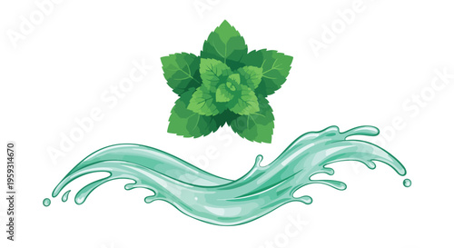 Fresh green mint leaves and refreshing aqua water splash vector illustration for natural product design, beverage packaging, and herbal concepts