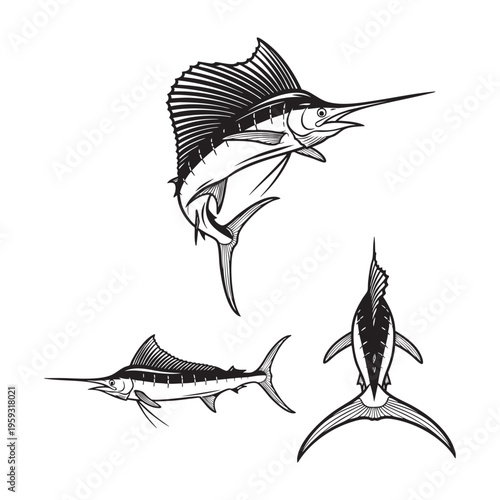Atlantic Sailfish Leaping Three View Bold Line Art Vector Design
