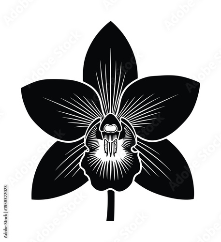 Vector of a black orchid flower with intricate patterns and symmetrical design elements