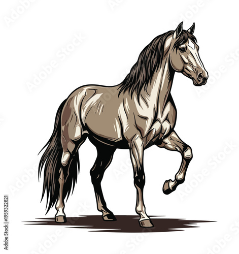 Beautifully vector of a healthy gray horse galloping gracefully