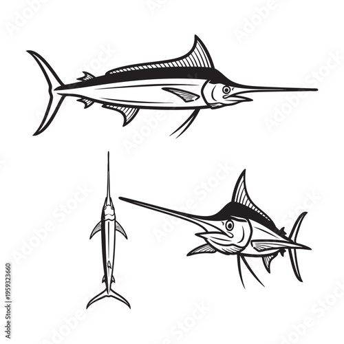 Longbill Spearfish Slender Three View Bold Line Art Vector Design