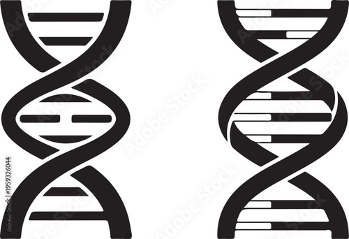 A pair of DNA double helix structures on a white background