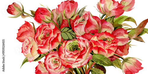 Obraz na płótnie Hand-Drawn Watercolor Bouquet of Applejack Roses