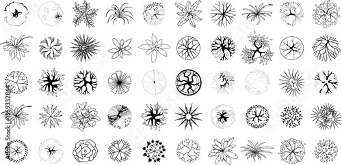 Tree top view set. Black line art plant icons for landscape architectural design. Vector isolated