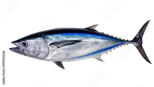 Foto Fresh bluefin tuna fish ready for market, showcasing its vibrant blue and silver