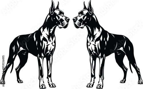 Black and white vector illustration of Great Dane dogs, powerful purebred hound silhouettes, muscular canine pets for logo and branding.