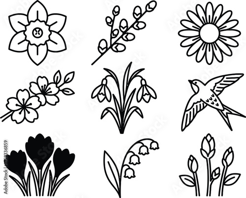 set of minimalist spring floral line art icons. hand-drawn botanical vector illustrations including daffodil, crocus, cherry blossom, snowdrop, lily of the valley, and a swallow bird. elegant black an