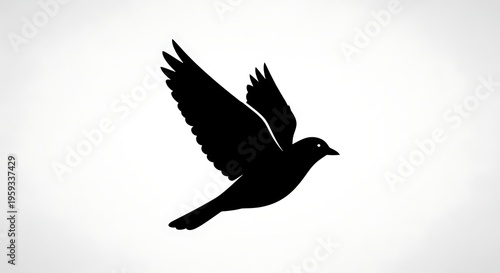Black silhouette bird in flight isolated.