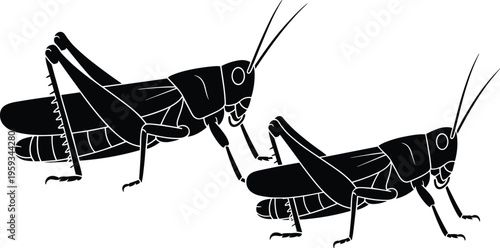 Two Grasshopper Silhouettes Black Locust Insect Vector Illustration Set For Nature Education Garden Pest Control Graphics And Digital Crafting Isolated On White Background