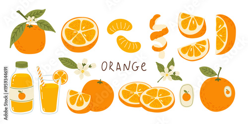 Summer orange fruit set with leaves, slices and branches, glass and bottle juice. Fresh healthy food collection in flat style. Vector illustration isolated on white background