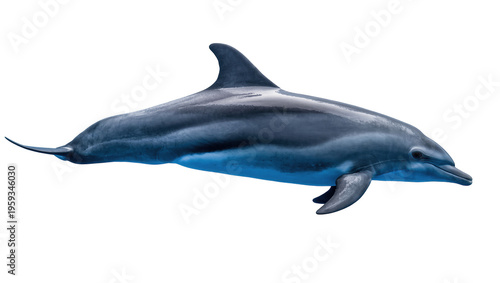 Foto A majestic dolphin gracefully swimming in the ocean, showcasing its sleek powerf