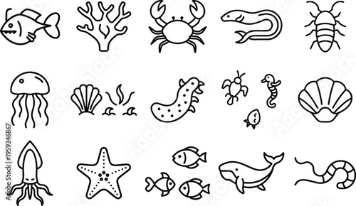 Minimalist Ocean Creatures Vector Illustrations Vector