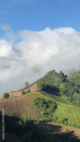 Panning shot of thick white mist and clouds flowing over lush green mountain peaks