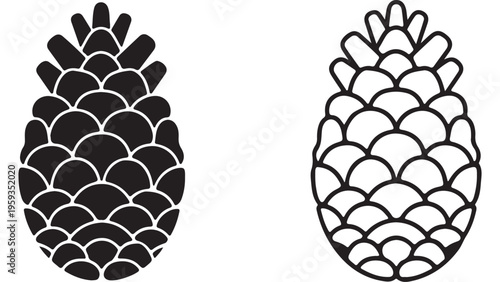 Pine cones with transparent background