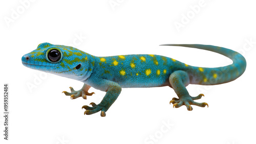 Принти на полотні Exotic blue and yellow spotted gecko with vibrant skin pattern in detailed studi