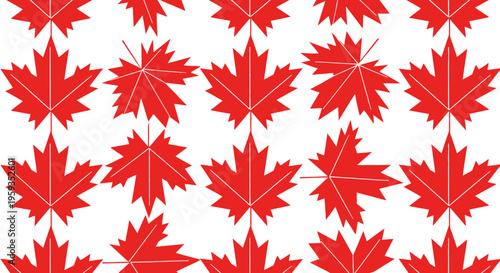 Vibrant red maple leaves on white background celebrating canada day