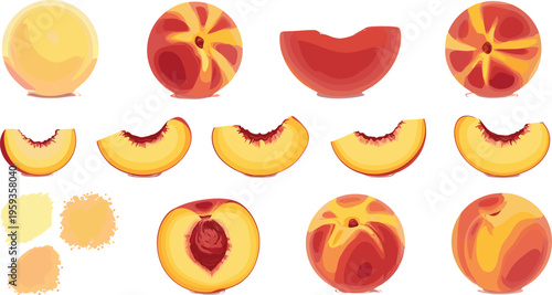 Abstract peach slices vector set with juicy fruit cross sections and textured elements summer food illustration collection in warm yellow and red tones