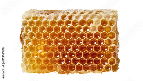 Tableau sur toile Delicious fresh golden honeycomb with sweet organic honey dripping from natural