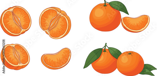Orange fruit illustration set featuring whole oranges, slices, segments, citrus details, and fresh juicy produce in vibrant flat vector style