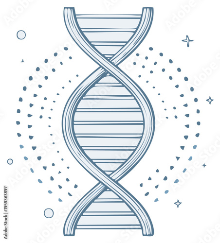 DNA Double Helix Sketch Medical Science Genetic Code Illustration
