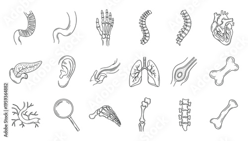 Collection of human body organs skeletal bones and medical research instruments line drawings for educational healthcare biology resources and science applications