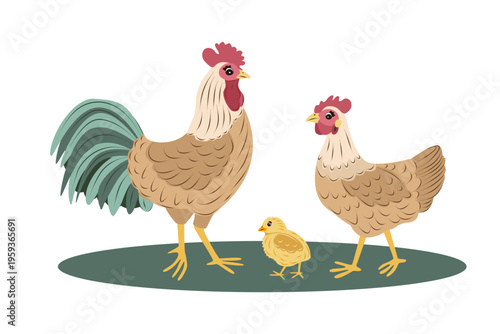 Hand drawn vector chicken family with rooster, hen and chick isolated on white background. Farm animals illustration in flat cartoon style for agriculture, kids and packaging design.