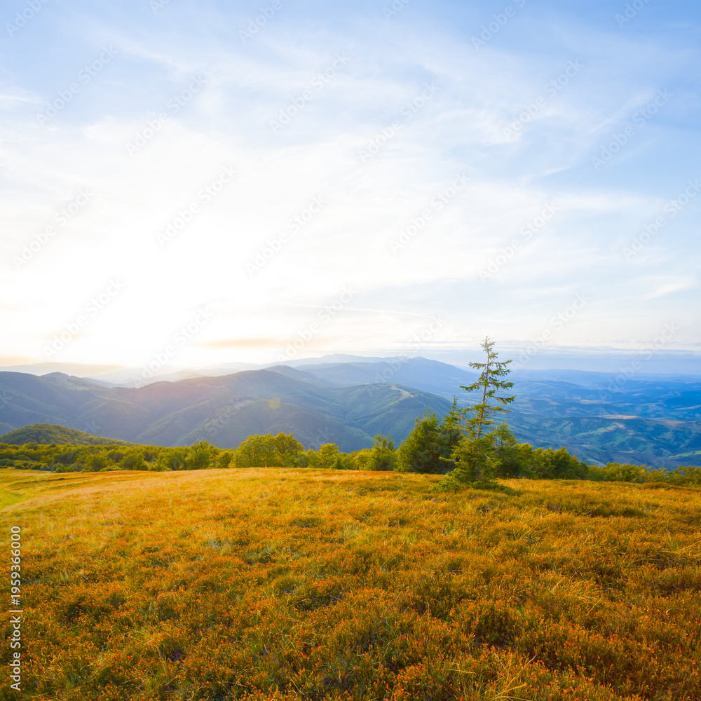Obraz premium mountain ridge covered by grass in light of evening sun