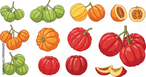 Colorful pumpkin and squash vector set with hand drawn autumn vegetables collection harvest season illustration in vibrant orange red and green tones
