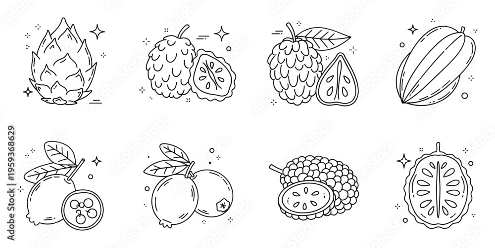 Obraz premium Vibrant collection of exotic tropical fruit line drawings perfect for healthy lifestyle food product packaging and natural ingredient menu designs