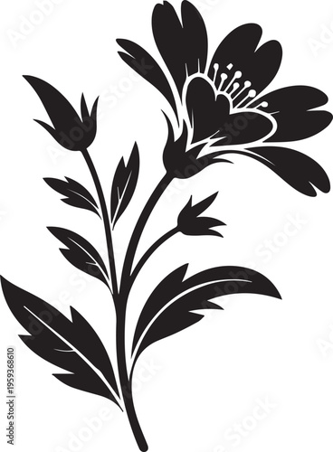 Black and white of a leaf and stem isolated on white plant hemp leaf botanical black and white