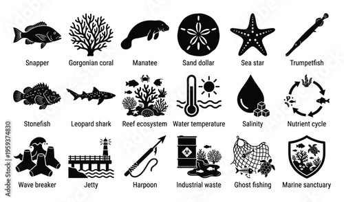 Explore a comprehensive collection of marine life, environmental factors, and human impacts within ocean ecosystems, perfect for educational materials, scientific presentations, and