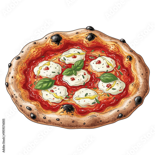 Neapolitan pizza margherita illustration, isolated on white background