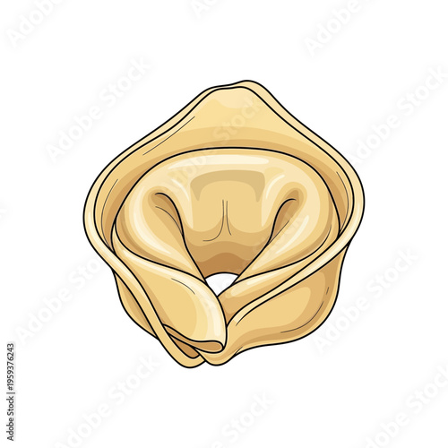 Single Tortellini Pasta Shape, Isolated