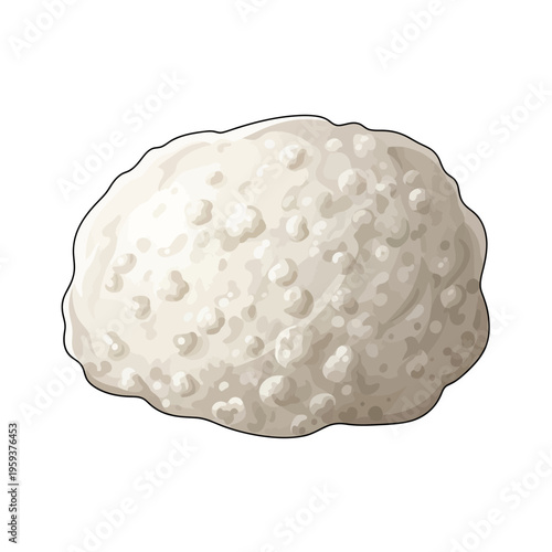 Textured white cauliflower head illustration