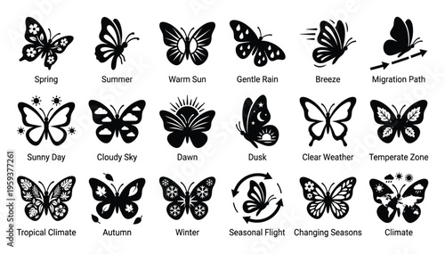 A comprehensive collection of butterfly icons depicting various seasons, weather conditions, and climate types suitable for environmental, nature, or educational graphic presentations
