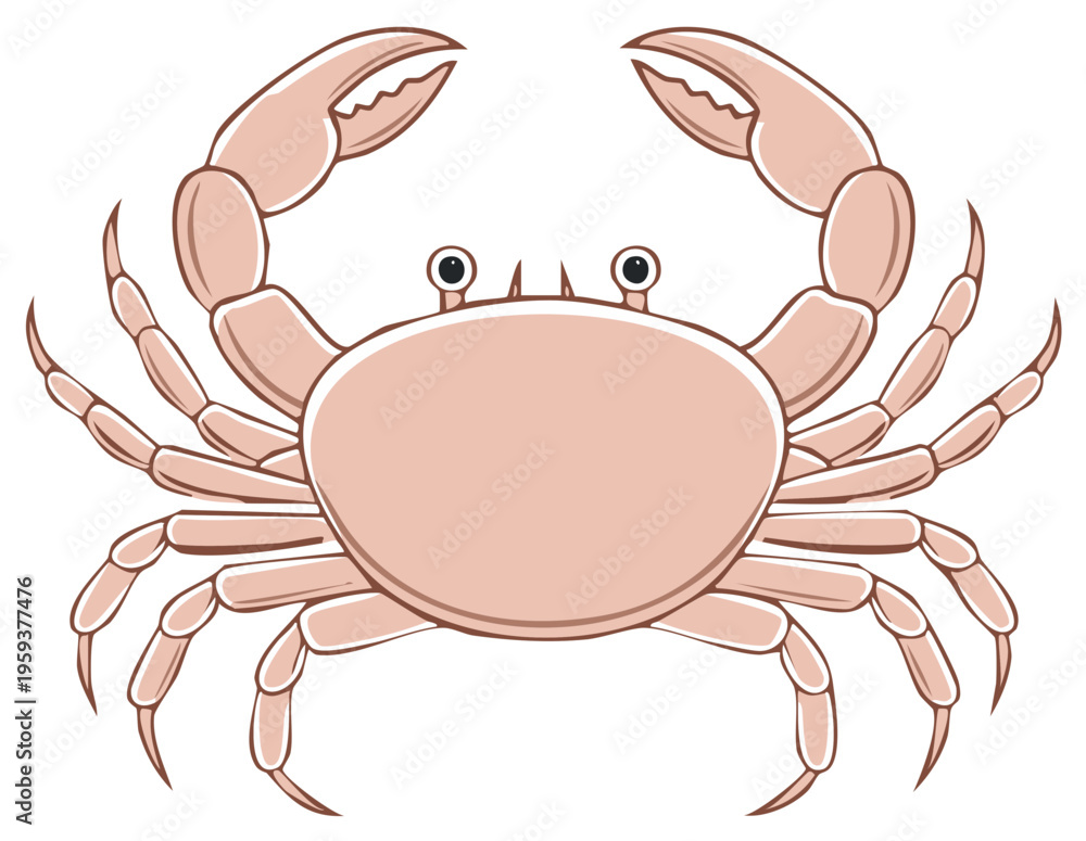 Fototapeta premium Illustration of a crab with claws and legs, seafood animal design.